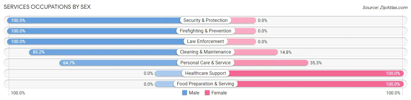 Services Occupations by Sex in Zip Code 12052