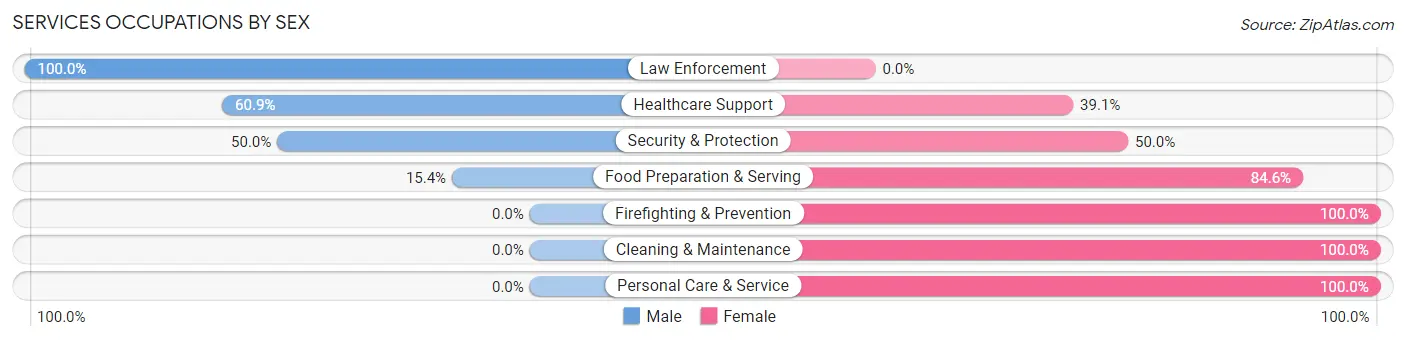 Services Occupations by Sex in Zip Code 12060