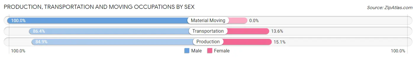 Production, Transportation and Moving Occupations by Sex in Zip Code 12061