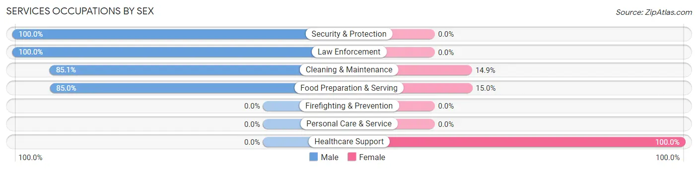 Services Occupations by Sex in Zip Code 12062