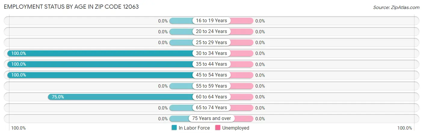 Employment Status by Age in Zip Code 12063