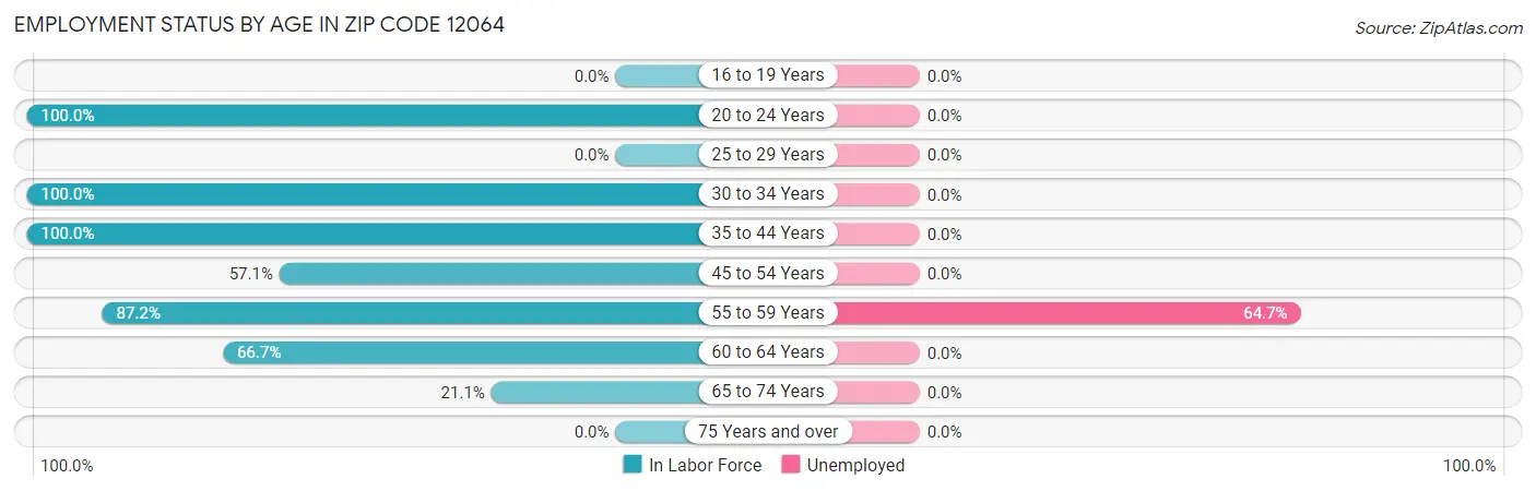 Employment Status by Age in Zip Code 12064