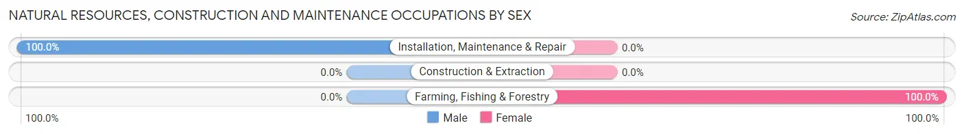 Natural Resources, Construction and Maintenance Occupations by Sex in Zip Code 12064