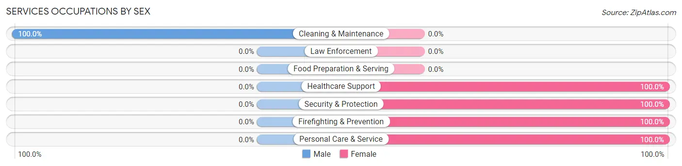 Services Occupations by Sex in Zip Code 12064
