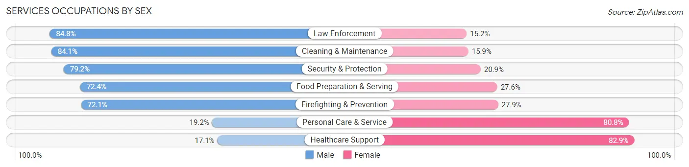 Services Occupations by Sex in Zip Code 12065