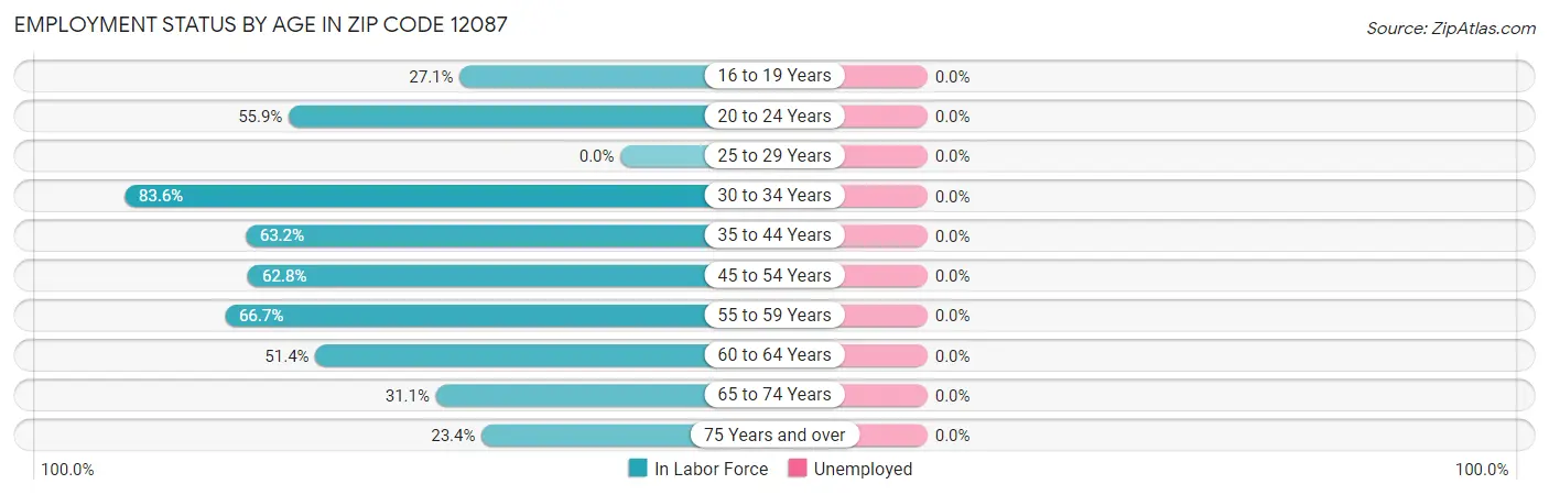 Employment Status by Age in Zip Code 12087