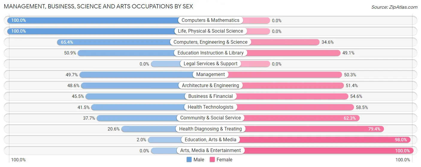 Management, Business, Science and Arts Occupations by Sex in Zip Code 12090