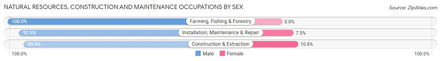 Natural Resources, Construction and Maintenance Occupations by Sex in Zip Code 12095
