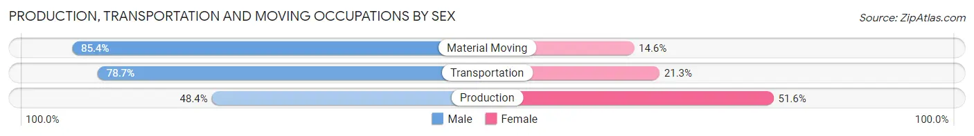 Production, Transportation and Moving Occupations by Sex in Zip Code 12110