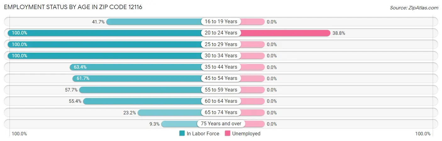 Employment Status by Age in Zip Code 12116