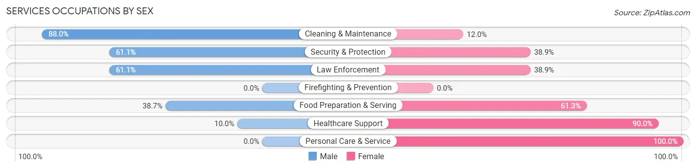 Services Occupations by Sex in Zip Code 12116