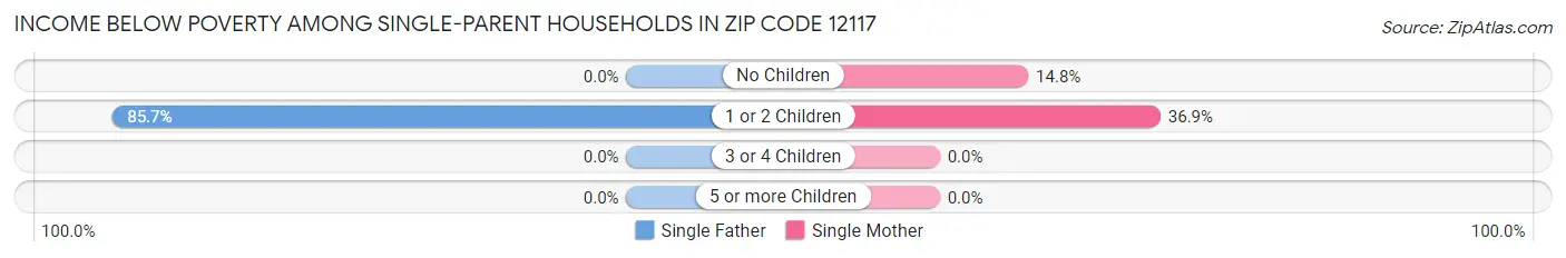 Income Below Poverty Among Single-Parent Households in Zip Code 12117