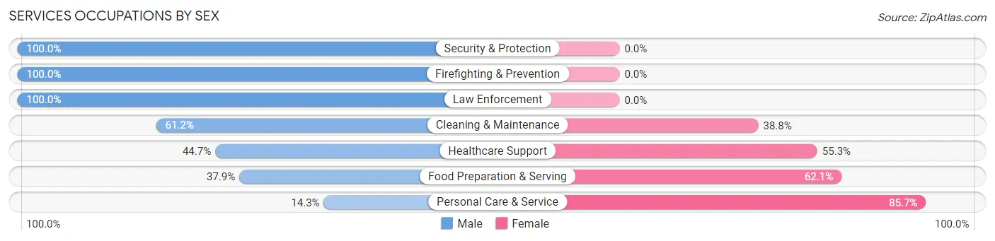 Services Occupations by Sex in Zip Code 12118