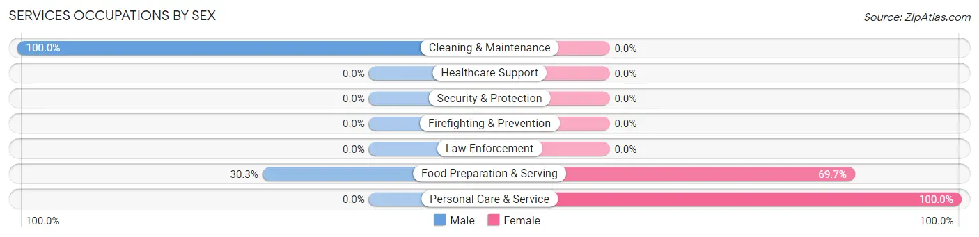 Services Occupations by Sex in Zip Code 12121