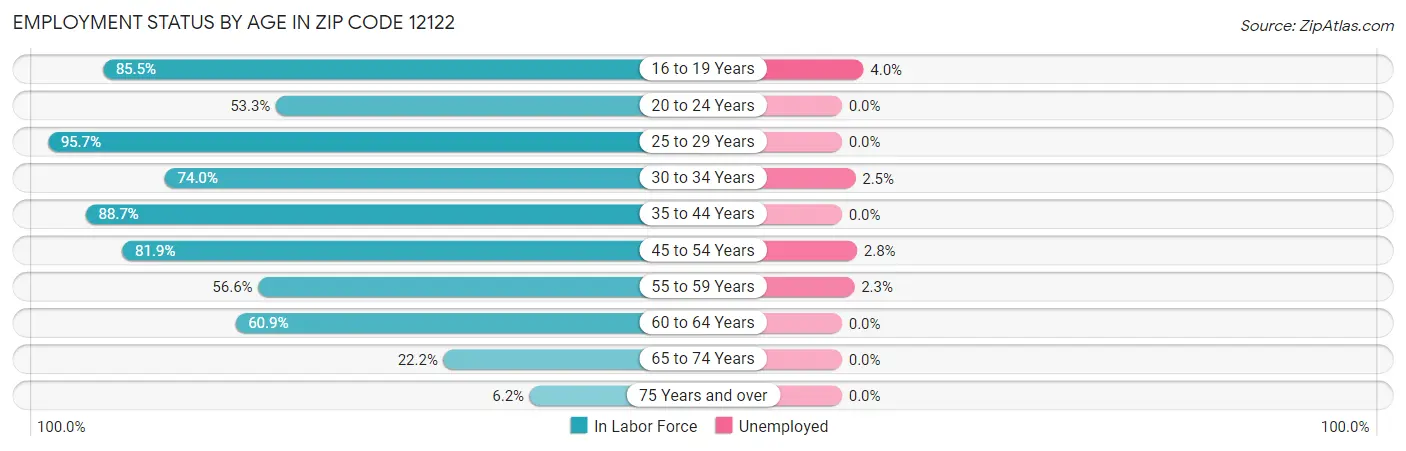 Employment Status by Age in Zip Code 12122