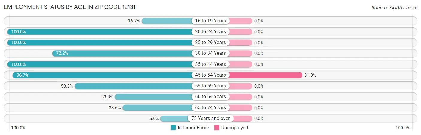 Employment Status by Age in Zip Code 12131