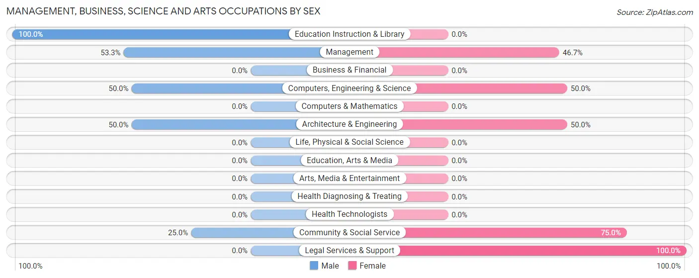 Management, Business, Science and Arts Occupations by Sex in Zip Code 12131