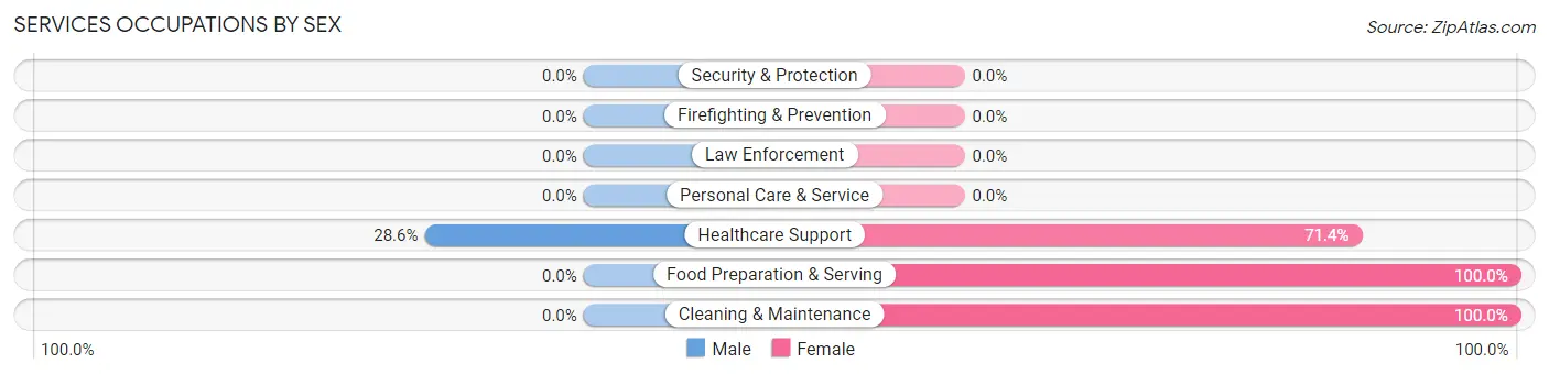 Services Occupations by Sex in Zip Code 12131