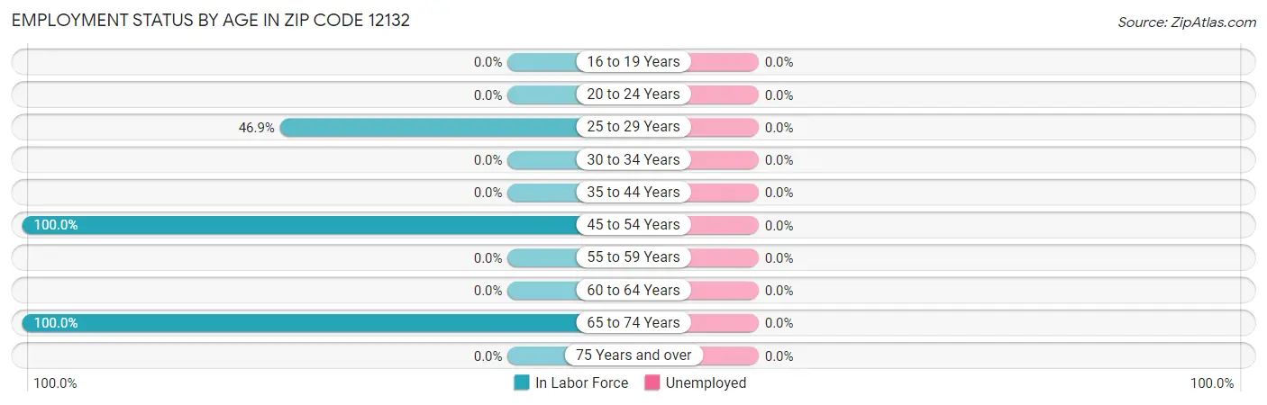 Employment Status by Age in Zip Code 12132