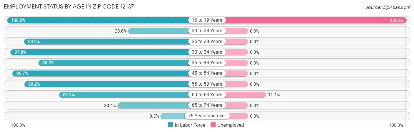 Employment Status by Age in Zip Code 12137