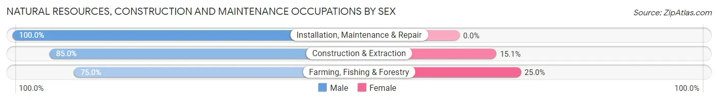 Natural Resources, Construction and Maintenance Occupations by Sex in Zip Code 12138