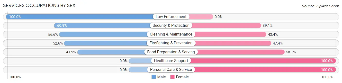Services Occupations by Sex in Zip Code 12138