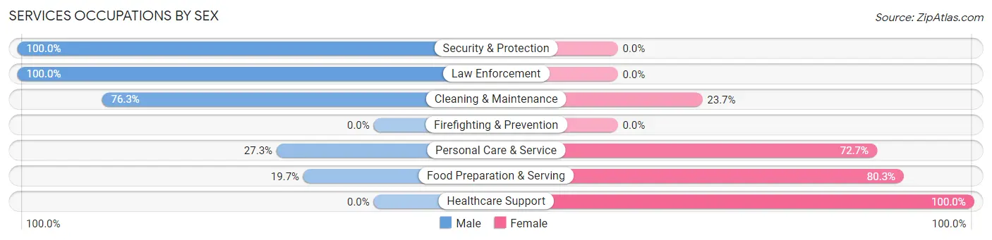 Services Occupations by Sex in Zip Code 12154