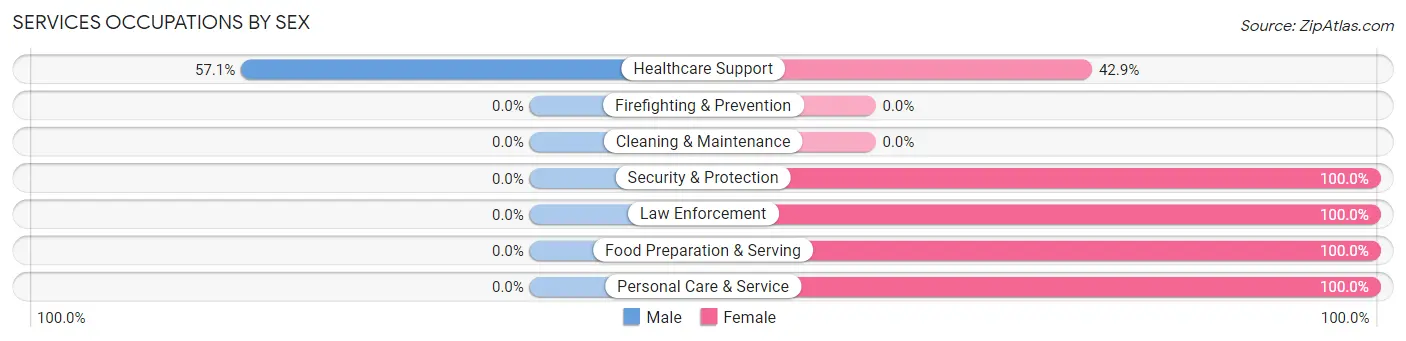 Services Occupations by Sex in Zip Code 12160
