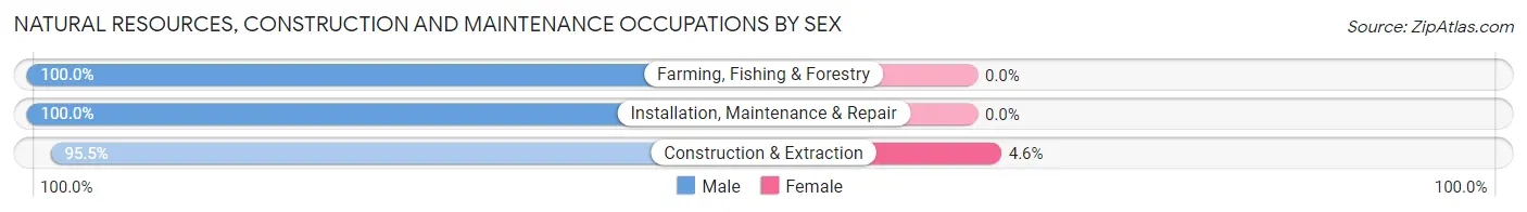 Natural Resources, Construction and Maintenance Occupations by Sex in Zip Code 12167