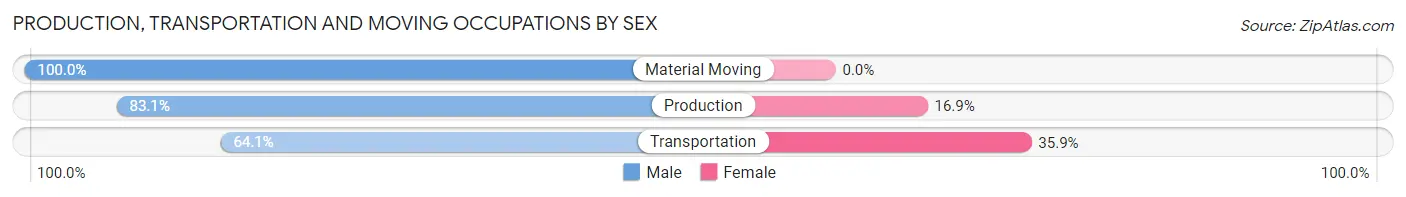 Production, Transportation and Moving Occupations by Sex in Zip Code 12167