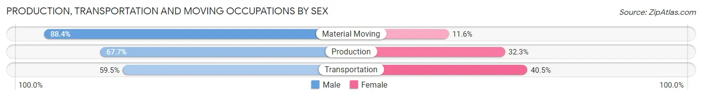 Production, Transportation and Moving Occupations by Sex in Zip Code 12173