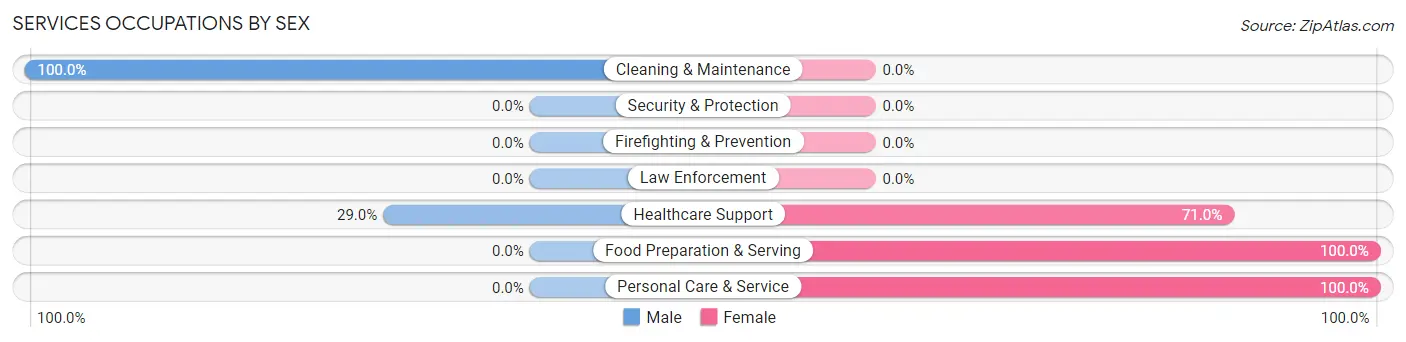 Services Occupations by Sex in Zip Code 12173