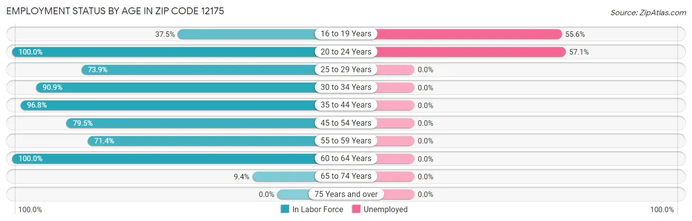 Employment Status by Age in Zip Code 12175