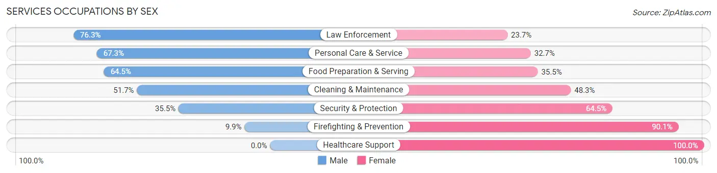 Services Occupations by Sex in Zip Code 12182