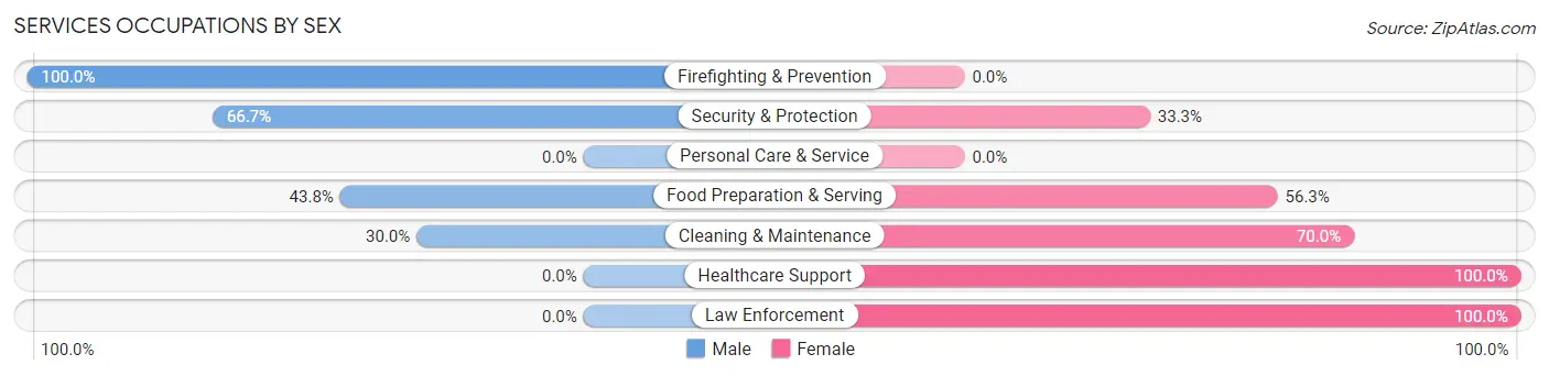 Services Occupations by Sex in Zip Code 12190