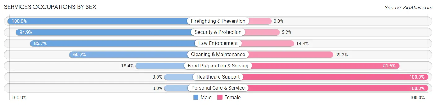 Services Occupations by Sex in Zip Code 12204