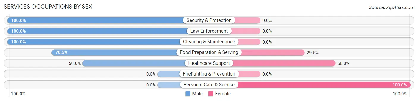 Services Occupations by Sex in Zip Code 12207