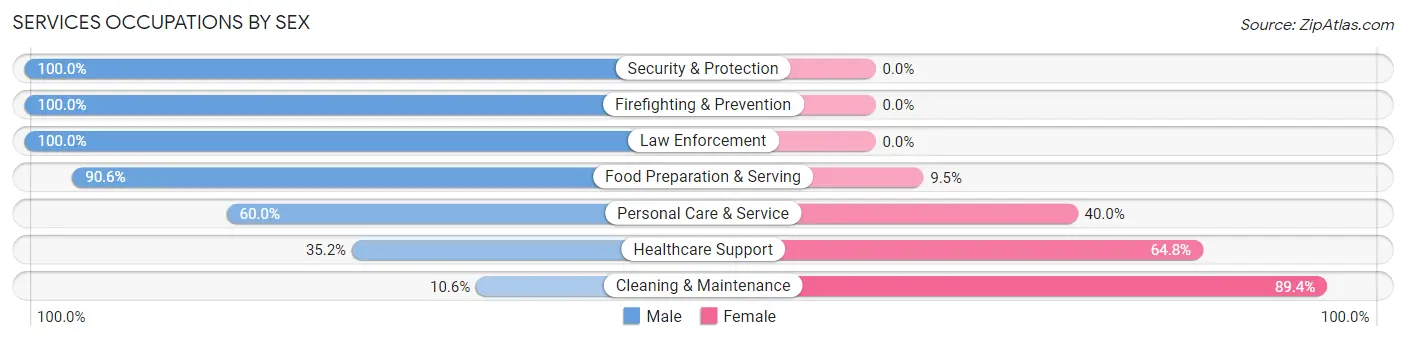 Services Occupations by Sex in Zip Code 12209