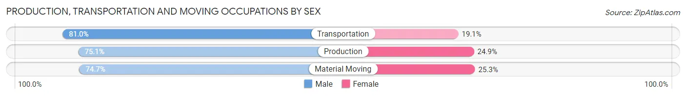 Production, Transportation and Moving Occupations by Sex in Zip Code 12302