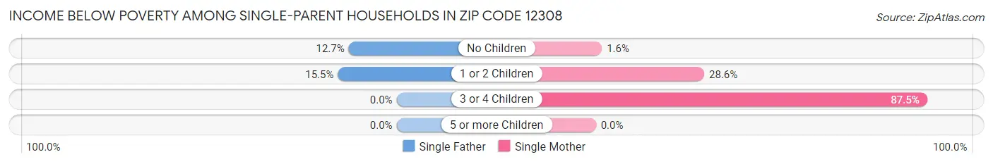 Income Below Poverty Among Single-Parent Households in Zip Code 12308