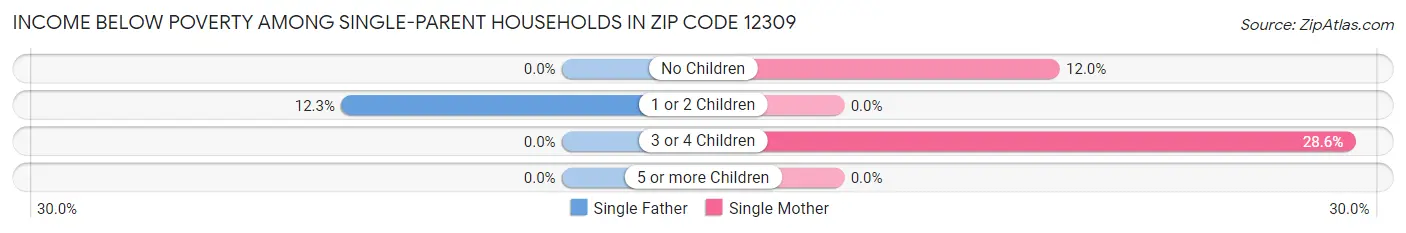 Income Below Poverty Among Single-Parent Households in Zip Code 12309
