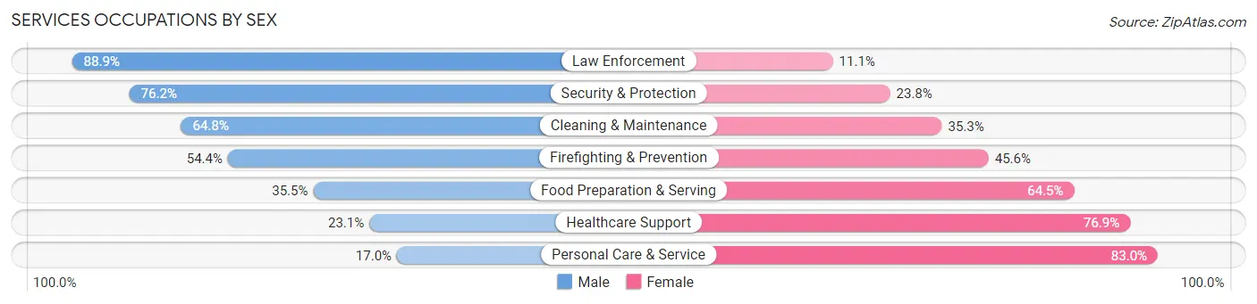 Services Occupations by Sex in Zip Code 12401