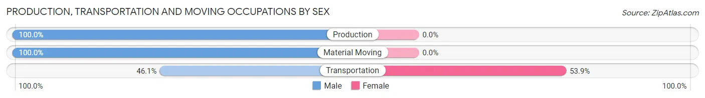 Production, Transportation and Moving Occupations by Sex in Zip Code 12404