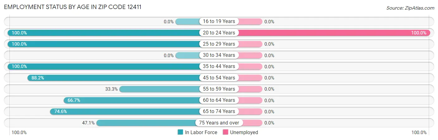 Employment Status by Age in Zip Code 12411