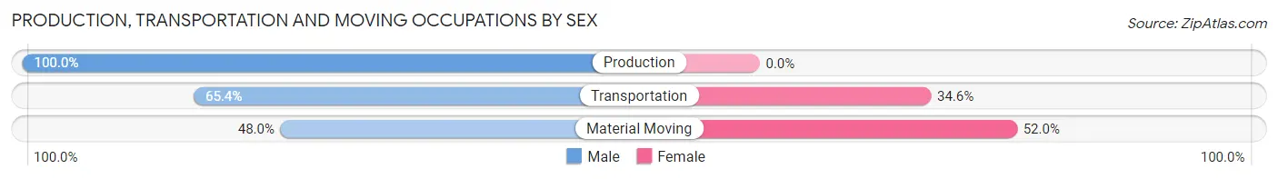 Production, Transportation and Moving Occupations by Sex in Zip Code 12413