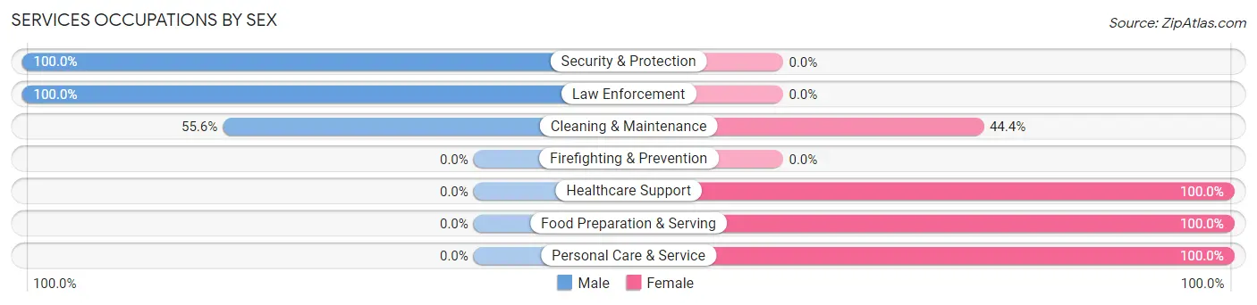 Services Occupations by Sex in Zip Code 12413