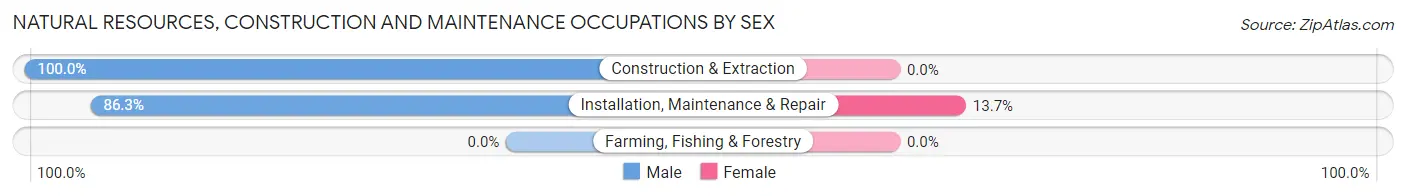 Natural Resources, Construction and Maintenance Occupations by Sex in Zip Code 12423
