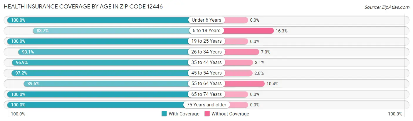 Health Insurance Coverage by Age in Zip Code 12446
