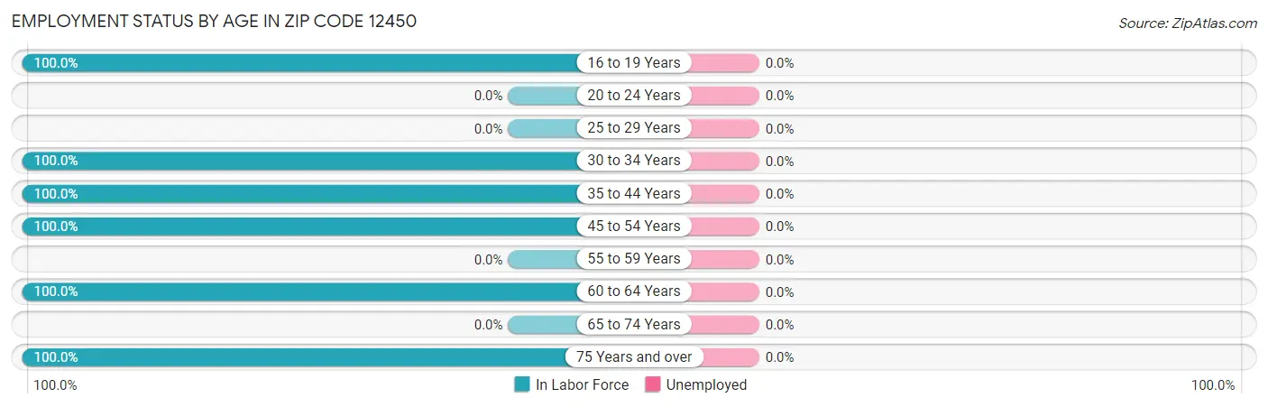 Employment Status by Age in Zip Code 12450