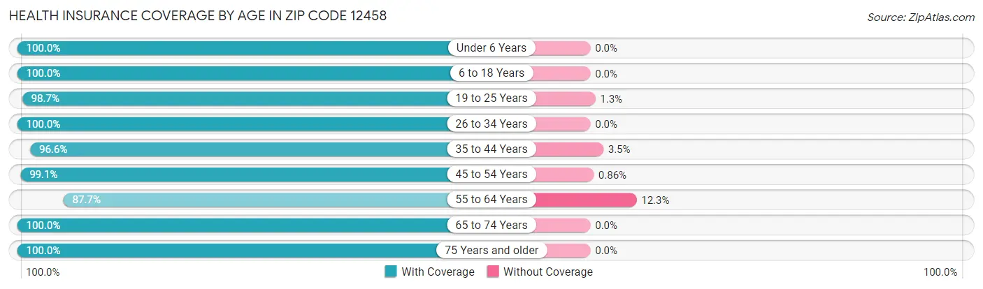 Health Insurance Coverage by Age in Zip Code 12458